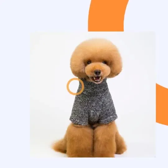Customized Fashion Dog Knitwear Warm Winter Pet Clothes Sweater for Fall Winter 